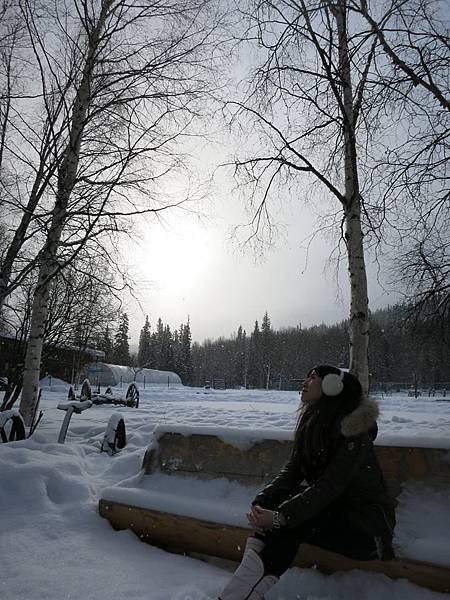 1014471_272695376241328_4920275925356609305_n