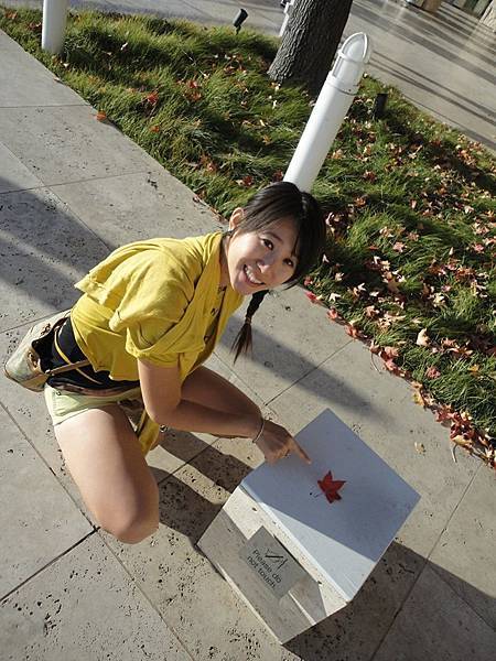 1796701_249927678518098_1225675868_n