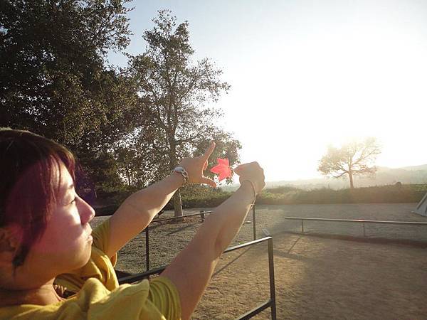 1794575_249927715184761_670759425_n 1794575_249927715184761_670759425_n