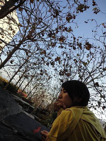 1544973_249927768518089_771725500_n 1544973_249927768518089_771725500_n