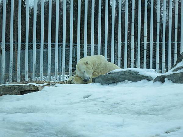 1969183_267503903427142_1704857402_n 1969183_267503903427142_1704857402_n