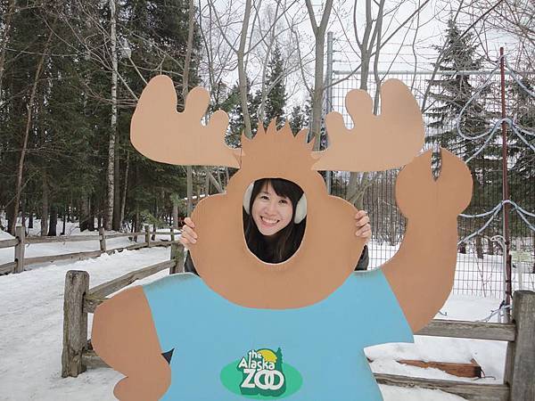 1010284_267503783427154_90041635_n 1010284_267503783427154_90041635_n