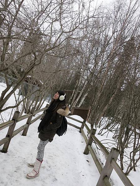 523613_267504013427131_1084078639_n 523613_267504013427131_1084078639_n