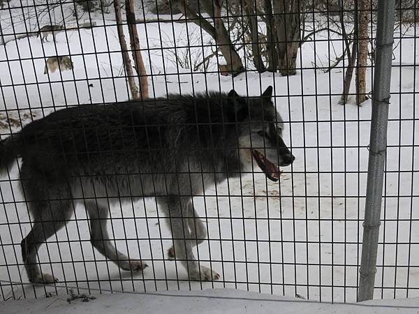 1920122_267503836760482_290405708_n 1920122_267503836760482_290405708_n