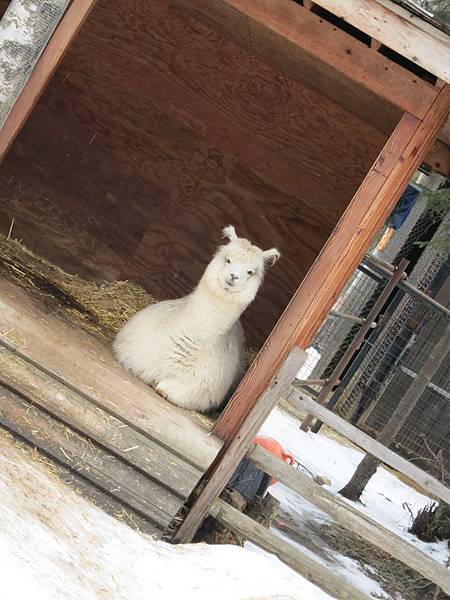 1604942_267503906760475_1292784744_n 1604942_267503906760475_1292784744_n