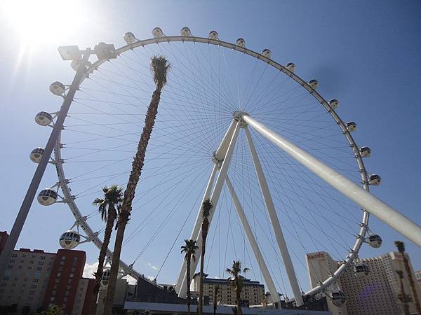 1512387_279011548943044_7976436950016119362_n 1512387_279011548943044_7976436950016119362_n