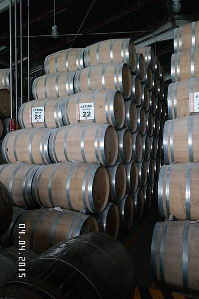 885611_435651826612348_2644603447629410585_o