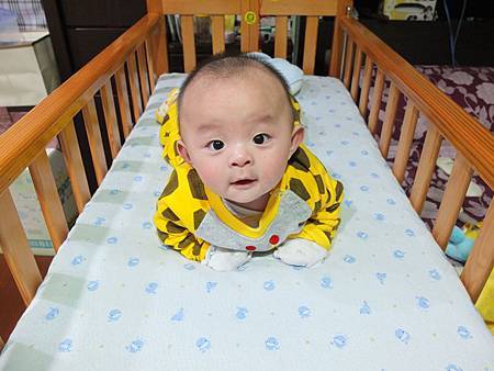 DSCF1223 DSCF1223