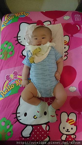試躺一下新床~~ 試躺一下新床~~