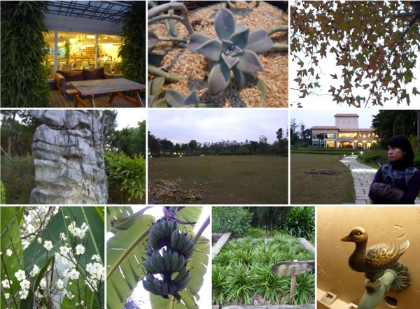 P20100116_04.jpg P20100116_04.jpg