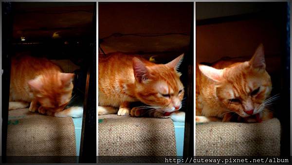 20130714波西米亞人 20130714波西米亞人