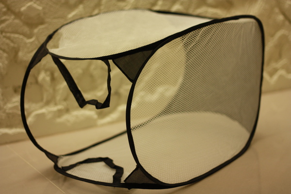 IMG_9447.JPG IMG_9447.JPG