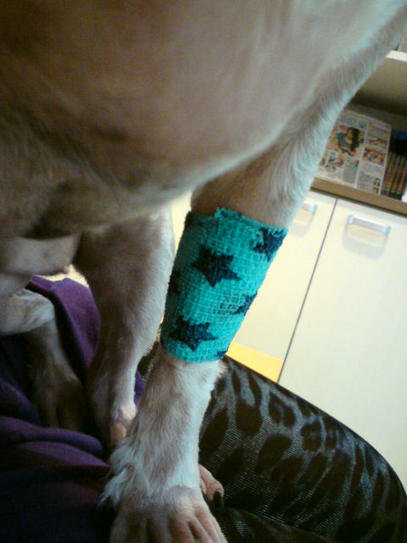 DSC00066.JPG DSC00066.JPG