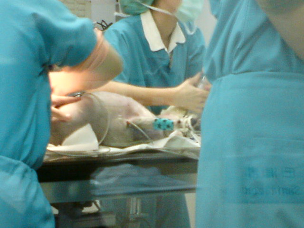 DSC00077.JPG DSC00077.JPG