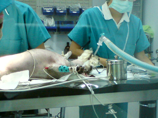 DSC00082.JPG DSC00082.JPG