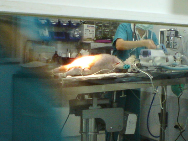 DSC00087.JPG DSC00087.JPG