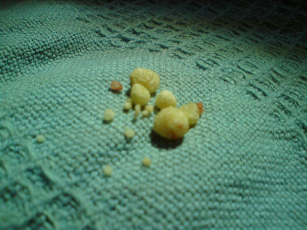 DSC00110.JPG DSC00110.JPG