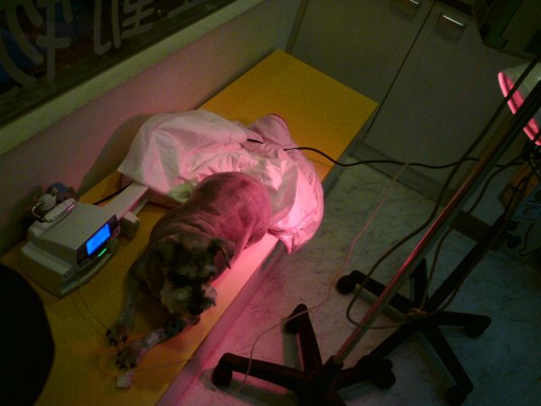 DSC00121.JPG DSC00121.JPG