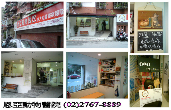 恩亞.JPG 恩亞.JPG