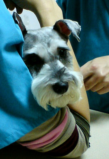 DSC00065.2.jpg DSC00065.2.jpg