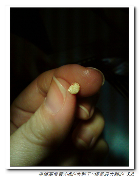 DSC00113.2.jpg DSC00113.2.jpg