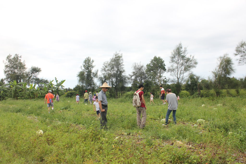 201206 043 201206 043