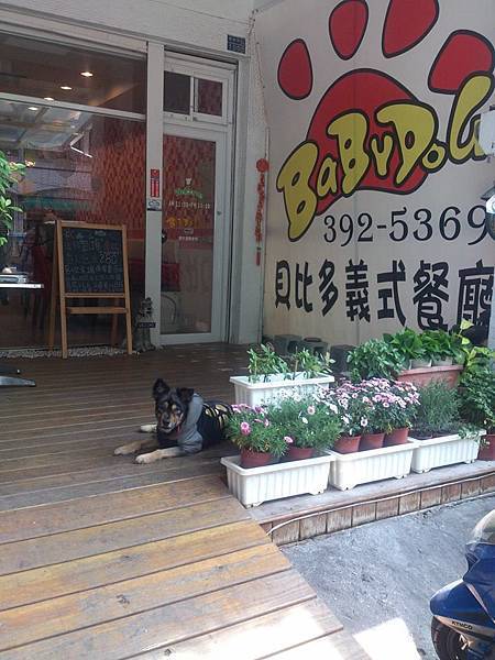 1964993_733169910035807_903056809_n