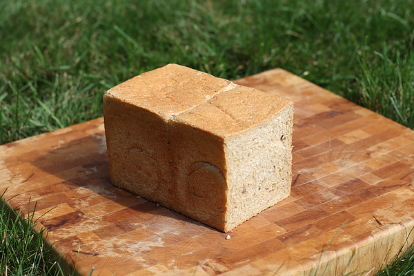 wheat&honey whole 014.JPG