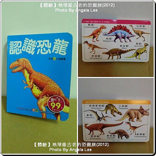 認識恐龍圖卡