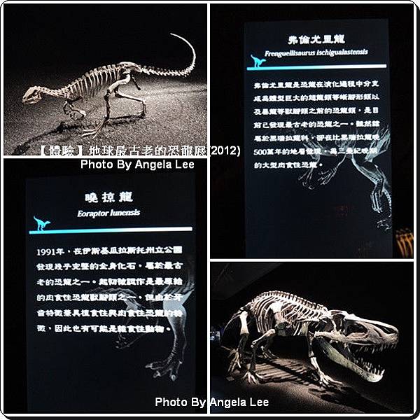 生物標本與化石 生物標本與化石