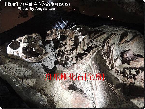 DSCN0441-舟爪蜥化石 DSCN0441-舟爪蜥化石