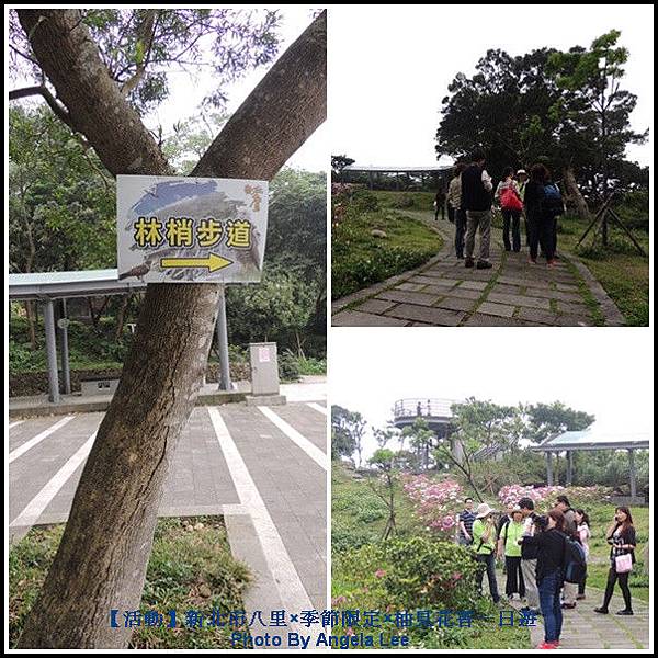 林梢步道