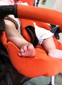 IMG_3540.JPG IMG_3540.JPG