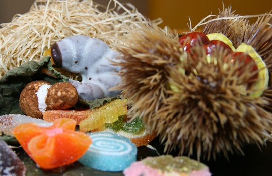 image0055.jpg image0055.jpg