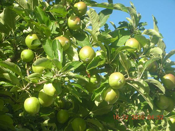 _M3hsMNNSDvDlrNesgL5Jg