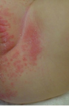 20121127165657-1512866303