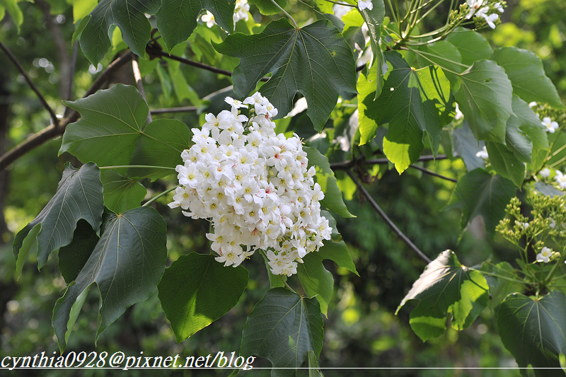 DSC_3547 DSC_3547