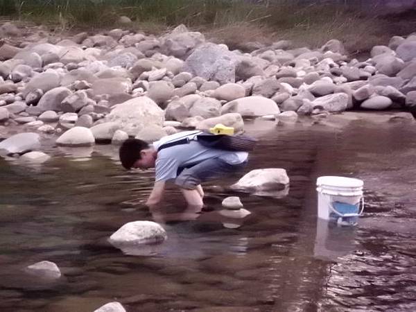 ８／１１- 連中3隻甲魚(鱉)，斷線 一隻。