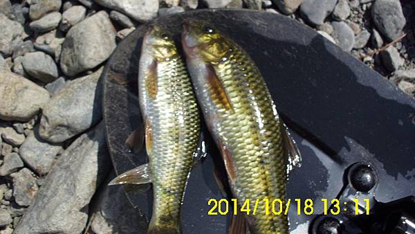 IMG_3395 IMG_3395