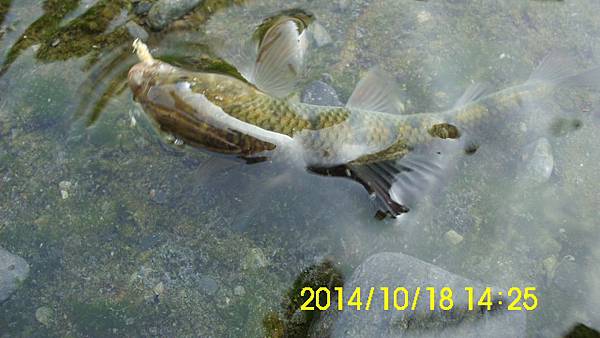 IMG_3429 IMG_3429