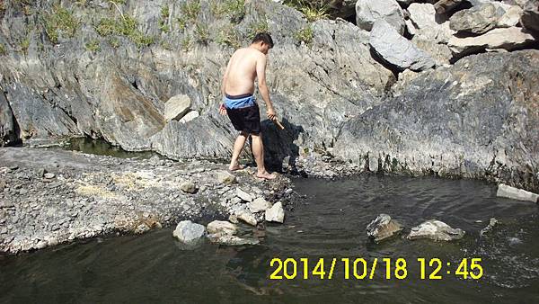 IMG_3390 IMG_3390