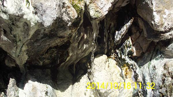 IMG_3378 IMG_3378