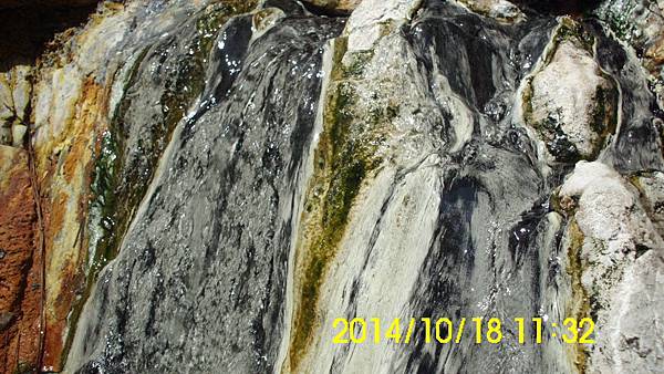 IMG_3379 IMG_3379