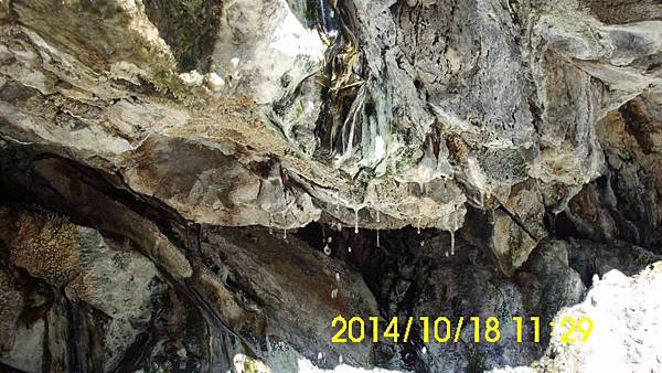 IMG_3373 IMG_3373