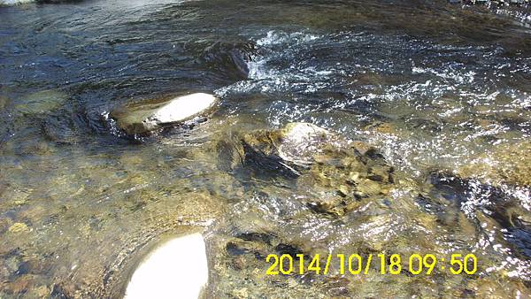 IMG_3322 IMG_3322