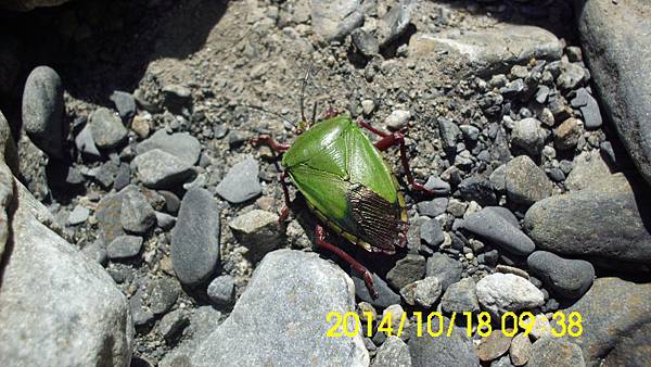 IMG_3314 IMG_3314