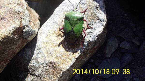 IMG_3316 IMG_3316