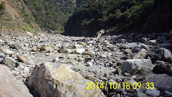 IMG_3310 IMG_3310