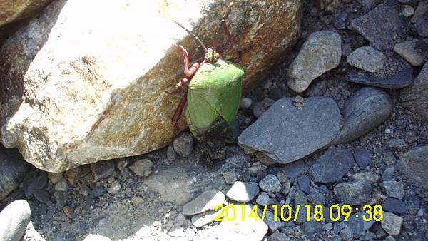 IMG_3315 IMG_3315