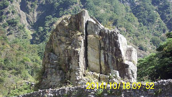 IMG_3325 IMG_3325
